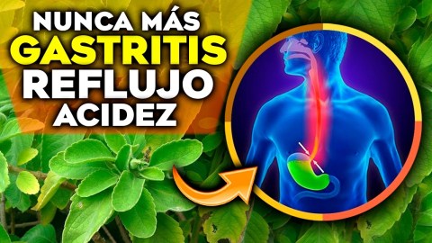 6 Plantas MILAGROSAS para CURAR la GASTRITIS, el REFLUJO y la ACIDEZ ESTOMACAL | Remedios Naturales 6 Plantas MILAGROSAS para CURAR la GASTRITIS, el REFLUJO y la ACIDEZ ESTOMACAL | Remedios Naturales
