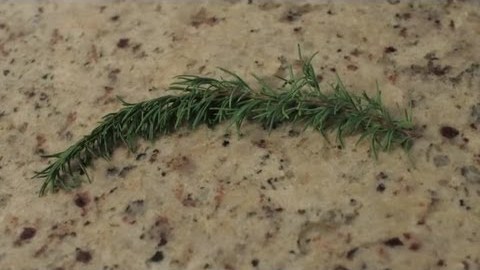 Homemade Remedies for Treatment of Hair Loss : Herbal Remedies Homemade Remedies for Treatment of Hair Loss : Herbal Remedies