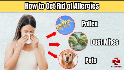 How to Get Rid of Allergies – Natural Remedies and Modern Solutions How to Get Rid of Allergies – Natural Remedies and Modern Solutions