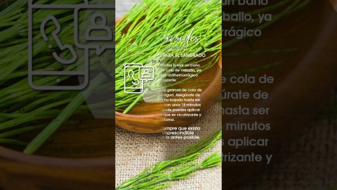 Hemorroides remedio natural cuando sangran, Clínica Madrid Vascular, Dr. Chocrón. Hemorroides remedio natural cuando sangran, Clínica Madrid Vascular, Dr. Chocrón.