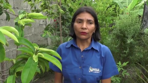 Venezuelans turn to home-made remedies to fight cancer Venezuelans turn to home-made remedies to fight cancer