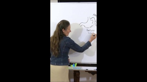 Is water a natural remedy for stomach ulcers? #shorts #barbaraoneill #waterbenefits #watertherapy #h Is water a natural remedy for stomach ulcers? #shorts #barbaraoneill #waterbenefits #watertherapy #h