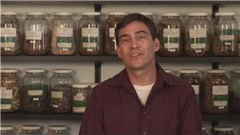 Basic Herbal Remedies : Natural Herbal Remedy for High Blood Pressure Basic Herbal Remedies : Natural Herbal Remedy for High Blood Pressure