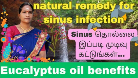 natural remedy for sinus infection| Eucalyptus oil benefits|best medicine to treat a cold natural remedy for sinus infection| Eucalyptus oil benefits|best medicine to treat a cold