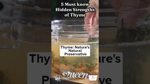 Thyme: Nature’s Natural Preservative | Natalie Brierre Thyme: Nature’s Natural Preservative | Natalie Brierre