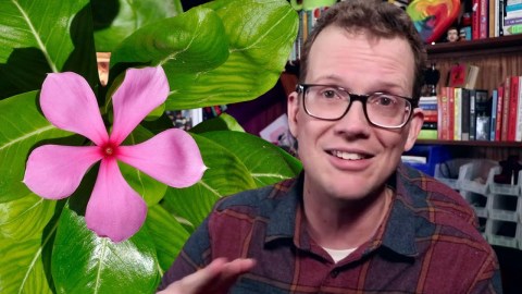 Did Natural Cancer Treatments Save My Life? Did Natural Cancer Treatments Save My Life?