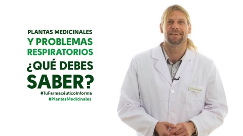 Plantas medicinales y problemas respiratorios. Tu Farmacéutico Informa – #PlantasMedicinales Plantas medicinales y problemas respiratorios. Tu Farmacéutico Informa – #PlantasMedicinales