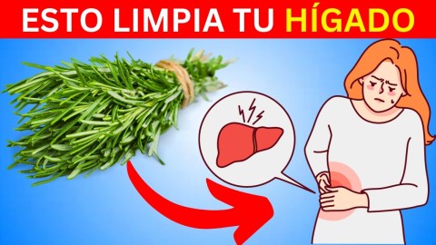¡Las 10 hierbas más eficaces para limpiar el hígado de forma natural! ¡Las 10 hierbas más eficaces para limpiar el hígado de forma natural!