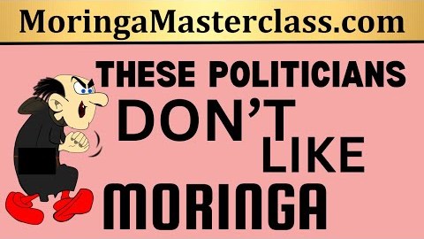 Moringa Political #shorts Moringa Political #shorts