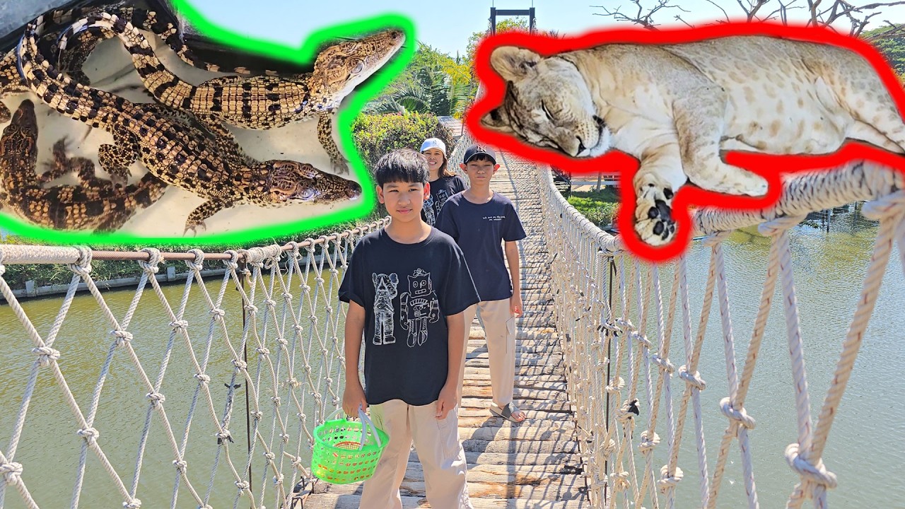 Beam Copphone – น้องบีม | เที่ยวเพชรบุรี มาลัยฟาร์มชะอำ ครั้งที่ 2 คลิปเต็ม Beam Copphone – น้องบีม | เที่ยวเพชรบุรี มาลัยฟาร์มชะอำ ครั้งที่ 2 คลิปเต็ม