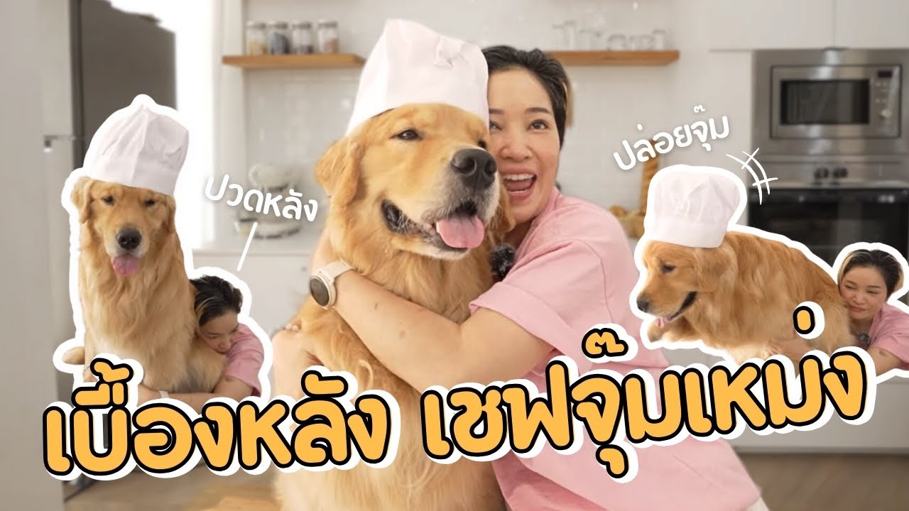 Japan and Friends – กว่าจะมาเป็นเชฟจุ๊มเหม่ง มันยากแค่ไหน !? | Japan and Friends Japan and Friends – กว่าจะมาเป็นเชฟจุ๊มเหม่ง มันยากแค่ไหน !? | Japan and Friends