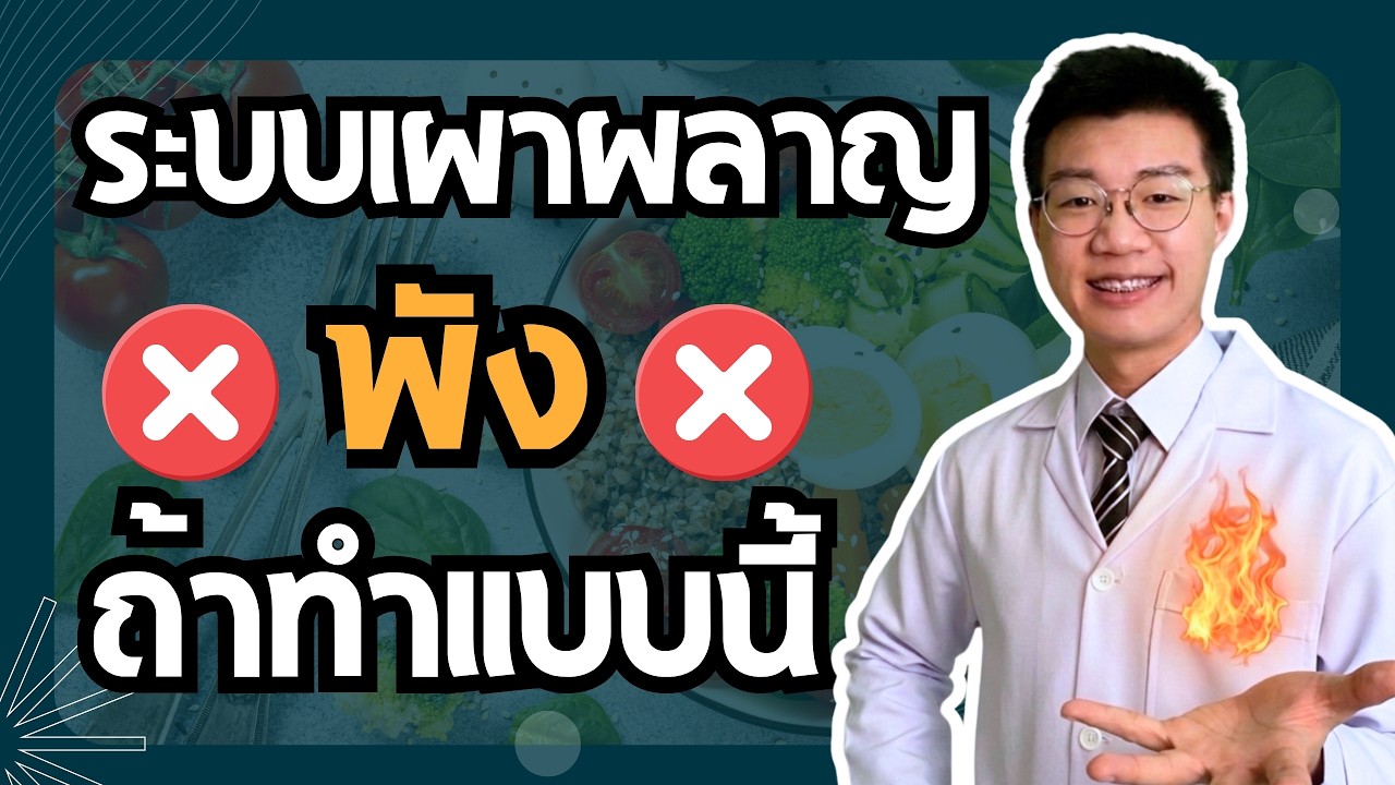 หมอหนึ่ง : Healthy Hero – อย่าลดน้ำหนักจนระบบเผาผลาญพัง! เช็คด่วน 3 พฤติกรรมอันตรายที่หมออยากให้เลิก I หมอหนึ่ง Healthy Hero หมอหนึ่ง : Healthy Hero – อย่าลดน้ำหนักจนระบบเผาผลาญพัง! เช็คด่วน 3 พฤติกรรมอันตรายที่หมออยากให้เลิก I หมอหนึ่ง Healthy Hero