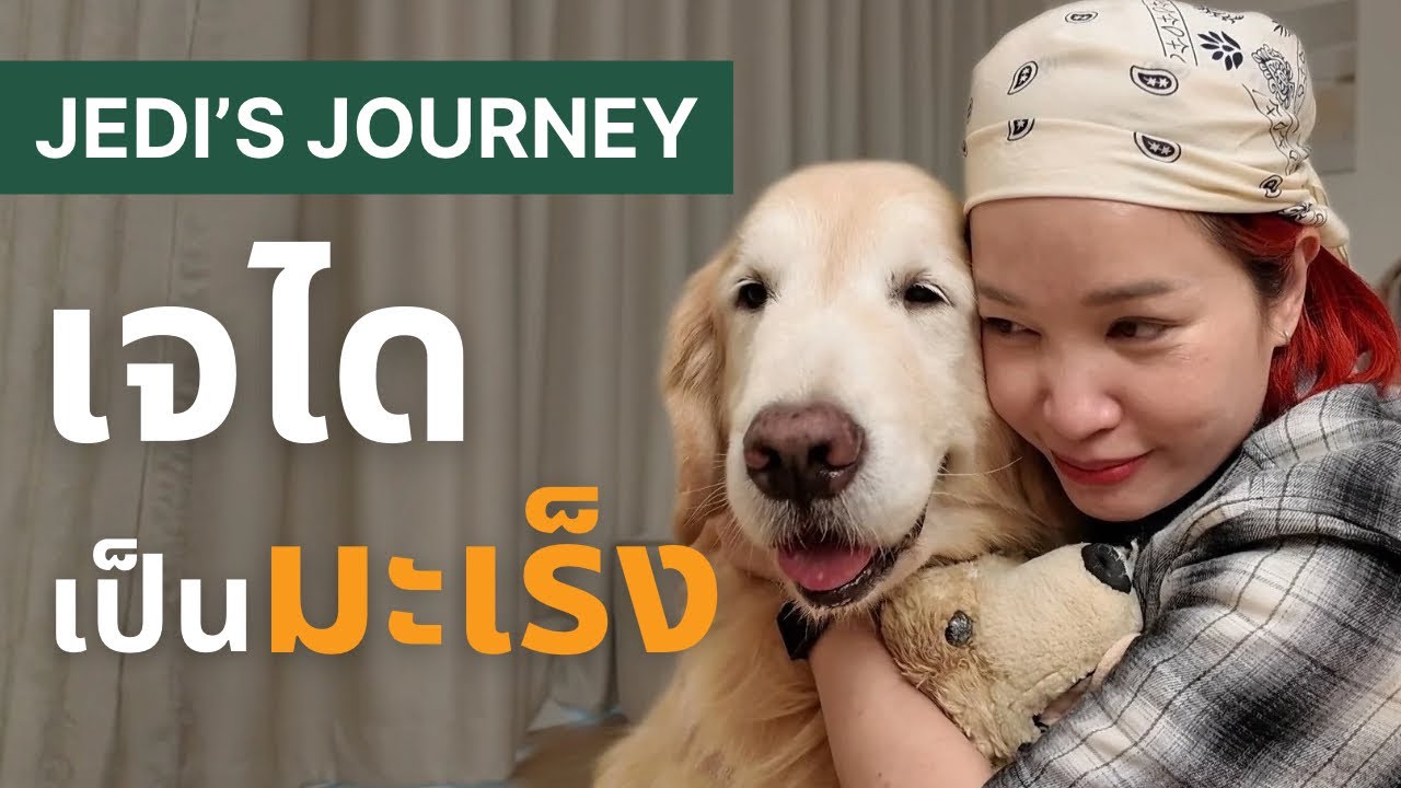 Japan and Friends – Jedi’s Journey – EP.1 วันที่เรารู้ว่าเจไดเป็นมะเร็ง Japan and Friends – Jedi’s Journey – EP.1 วันที่เรารู้ว่าเจไดเป็นมะเร็ง