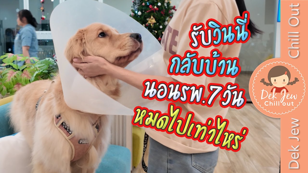 Dek Jew Chill Out – รับวินนี่กลับบ้าน นอน รพ. 7 วัน หมดไปเท่าไหร่? Dek Jew Chill Out – รับวินนี่กลับบ้าน นอน รพ. 7 วัน หมดไปเท่าไหร่?