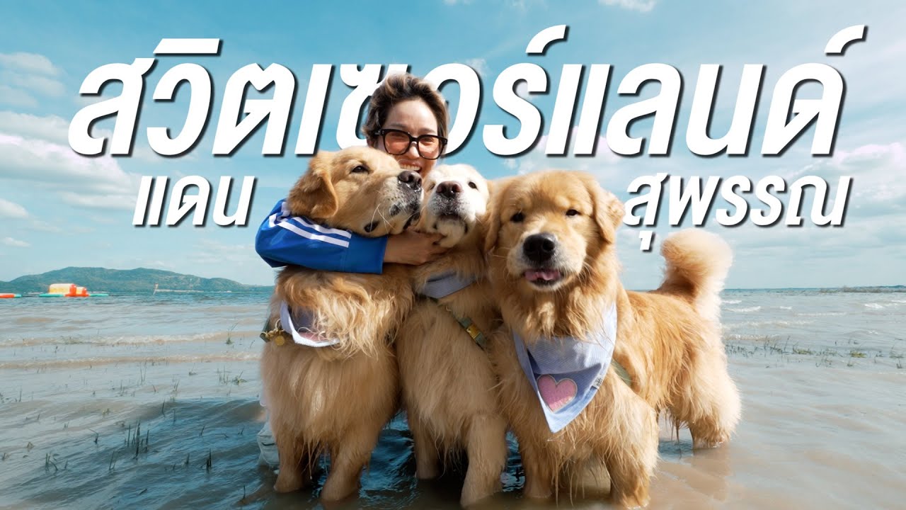 Japan and Friends – พาจุ๊มเหม่งเที่ยวสวิตเซอร์แลนด์ในแดนสุพรรณ l Japan and Friends Japan and Friends – พาจุ๊มเหม่งเที่ยวสวิตเซอร์แลนด์ในแดนสุพรรณ l Japan and Friends