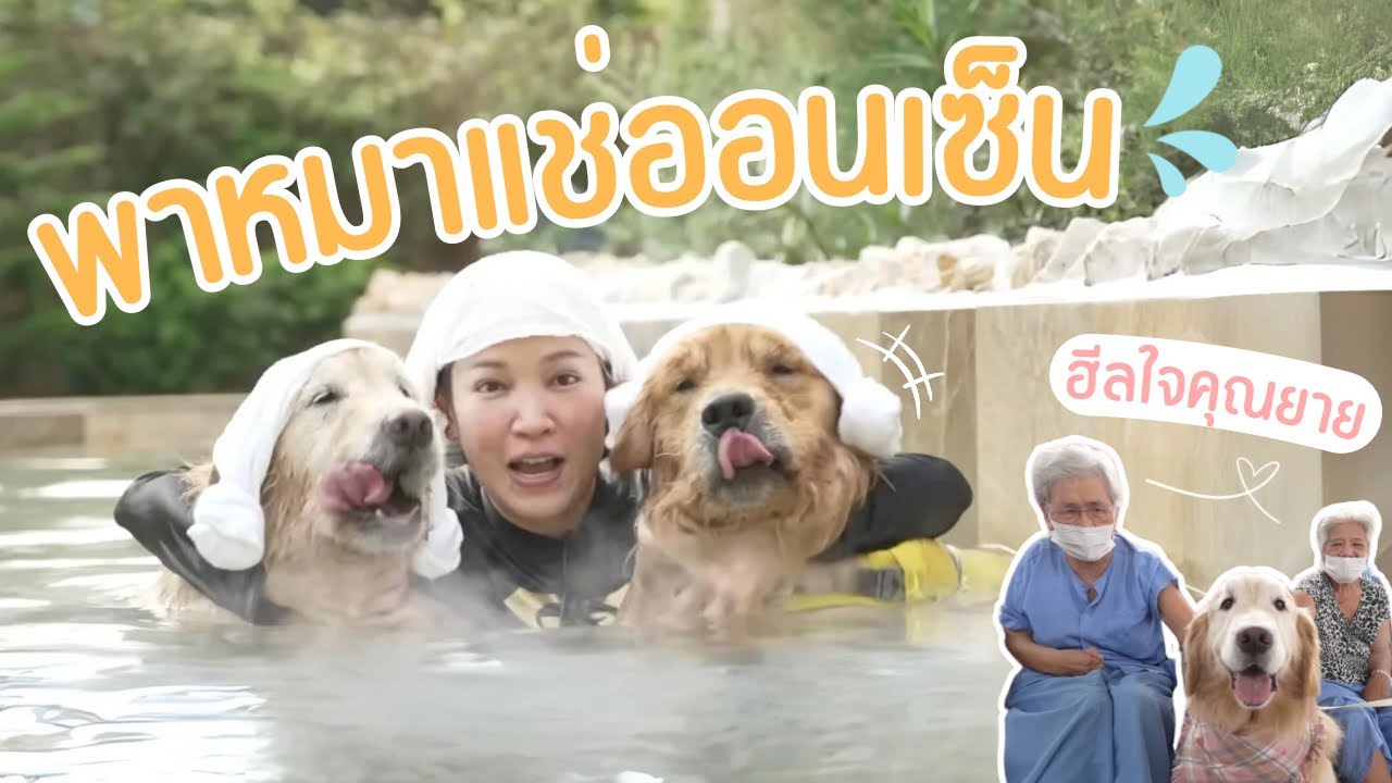 Japan and Friends – ฮีโร่ 4 ขา มาแช่ออนเซ็น ฮีลใจคุณยาย ❤️ | Japan and Friends Japan and Friends – ฮีโร่ 4 ขา มาแช่ออนเซ็น ฮีลใจคุณยาย ❤️ | Japan and Friends