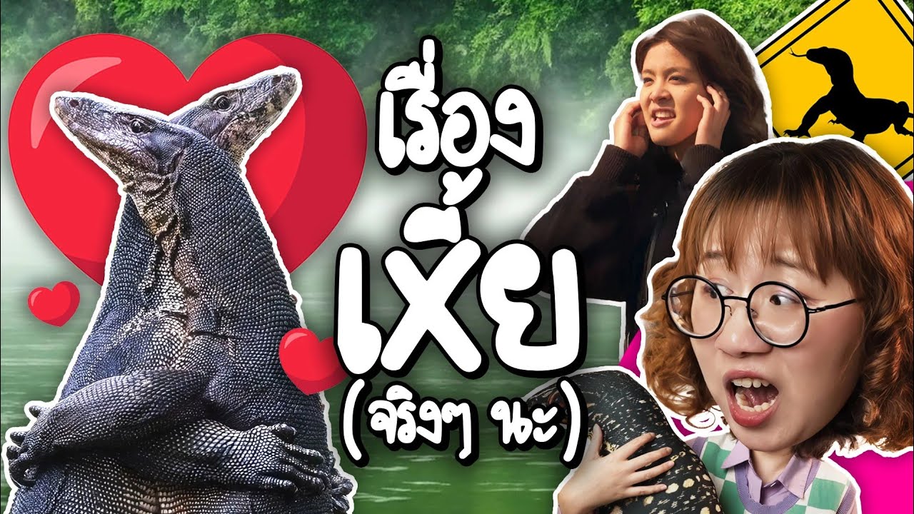 Point of View – เล่าเรื่อง เxี้ย จริงๆ นะ #สาระสัตว์สัตว์ | Point of View Point of View – เล่าเรื่อง เxี้ย จริงๆ นะ #สาระสัตว์สัตว์ | Point of View