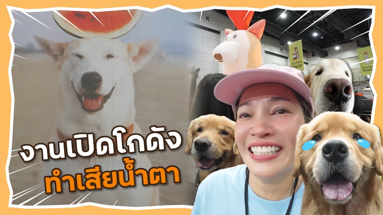 Japan and Friends – พาจุ๊มเหม่งมางานเปิดโกดัง แต่ดันเสียน้ำตา | Japan and Friends Japan and Friends – พาจุ๊มเหม่งมางานเปิดโกดัง แต่ดันเสียน้ำตา | Japan and Friends