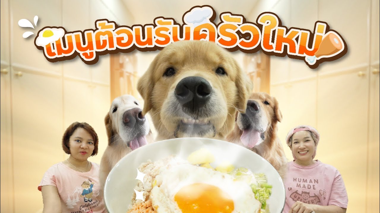 Japan and Friends – ข้าวคลุกแซลมอนราดไข่ เมนูถูกใจจุ๊มเหม่ง | Japan and Friends Japan and Friends – ข้าวคลุกแซลมอนราดไข่ เมนูถูกใจจุ๊มเหม่ง | Japan and Friends