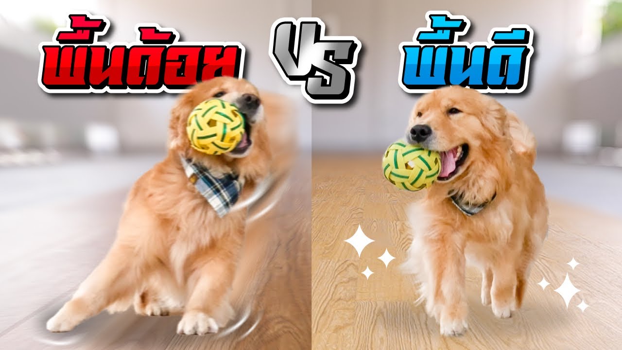 Japan and Friends – บ้านพื้นลื่นต้องดู! วิธีแก้พื้นลื่นแบบได้ผล | Japan and Friends Japan and Friends – บ้านพื้นลื่นต้องดู! วิธีแก้พื้นลื่นแบบได้ผล | Japan and Friends