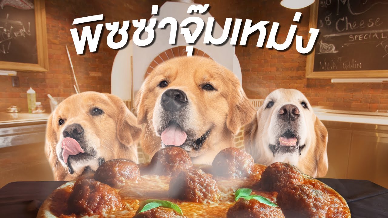 Japan and Friends – จุ๊มเหม่งทำพิซซ่าเองครั้งแรก! อร่อยหรือเละ? | Japan and Friends Japan and Friends – จุ๊มเหม่งทำพิซซ่าเองครั้งแรก! อร่อยหรือเละ? | Japan and Friends