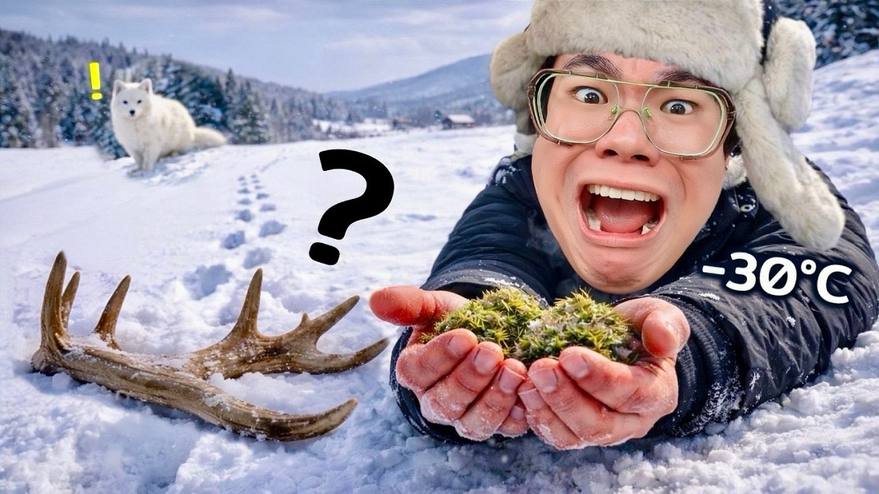 Topby Toast – ตามล่าเรนเดียร์ และจิ้งจอกขาว…ท่ามกลาง -30°C Topby Toast – ตามล่าเรนเดียร์ และจิ้งจอกขาว…ท่ามกลาง -30°C