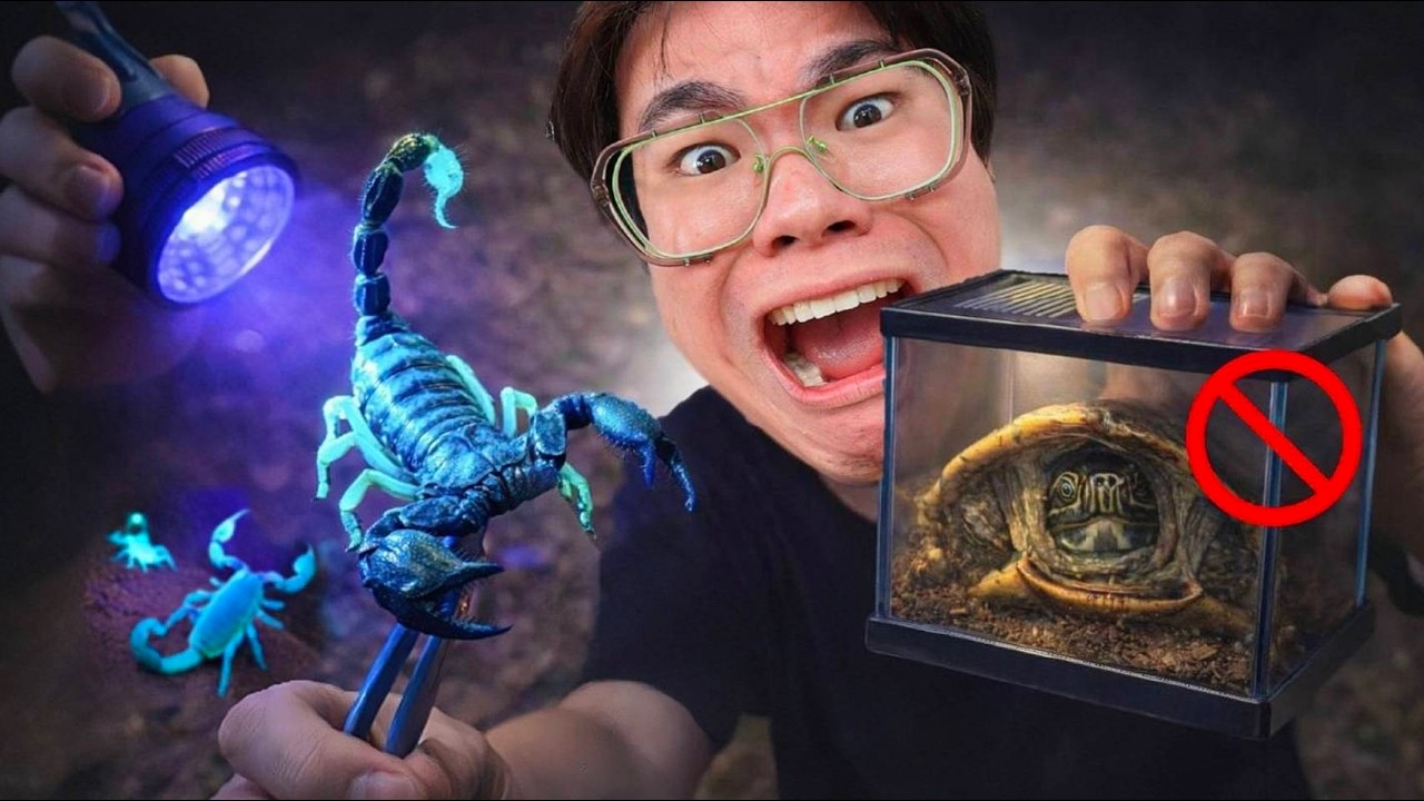 Topby Toast – จับแมงป่องเรืองแสง…แต่ดันเจอสัตว์ ใครเลี้ยงโดนปรับ 1 ล้าน!! Topby Toast – จับแมงป่องเรืองแสง…แต่ดันเจอสัตว์ ใครเลี้ยงโดนปรับ 1 ล้าน!!