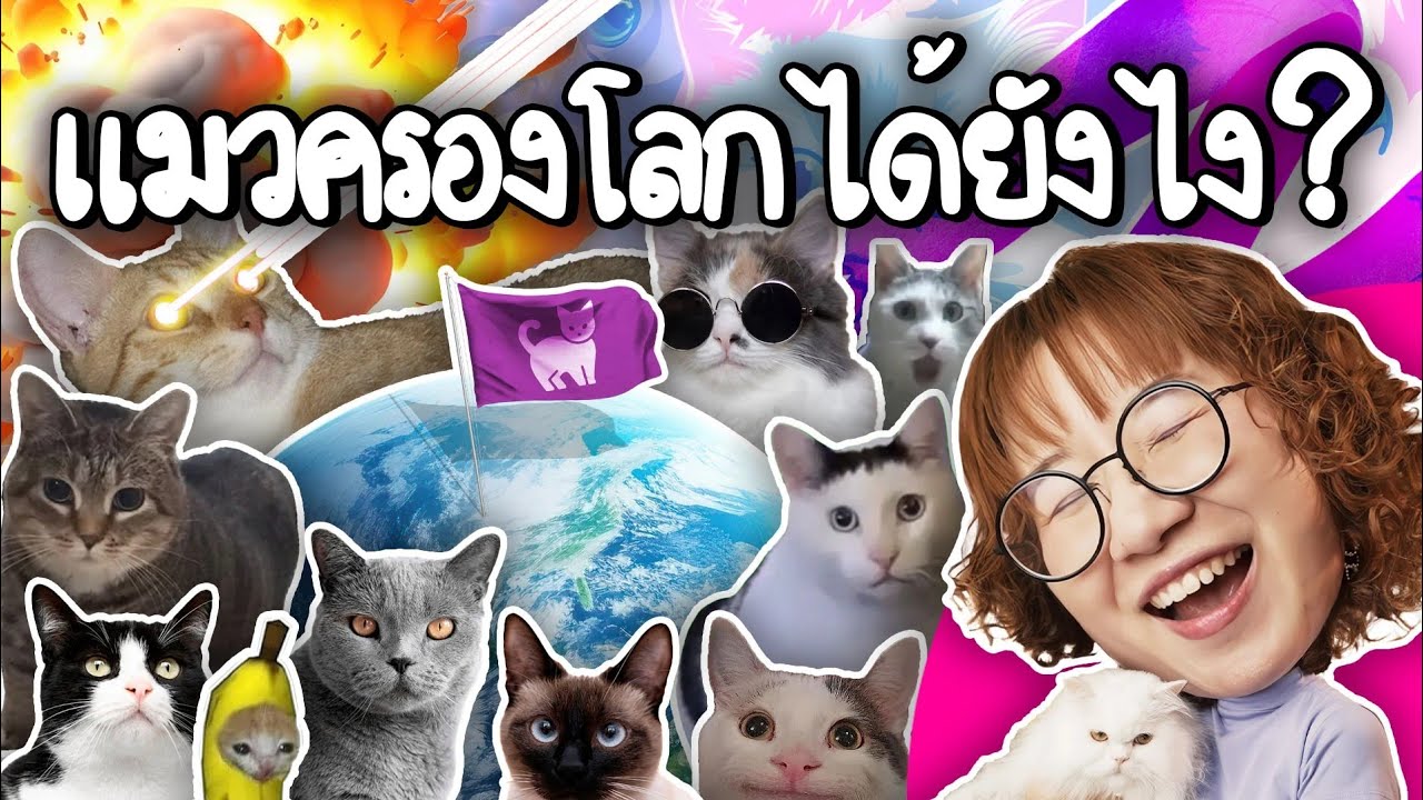 Point of View – แมวครองโลกได้ยังไง? | Point of View x Whiskas Point of View – แมวครองโลกได้ยังไง? | Point of View x Whiskas