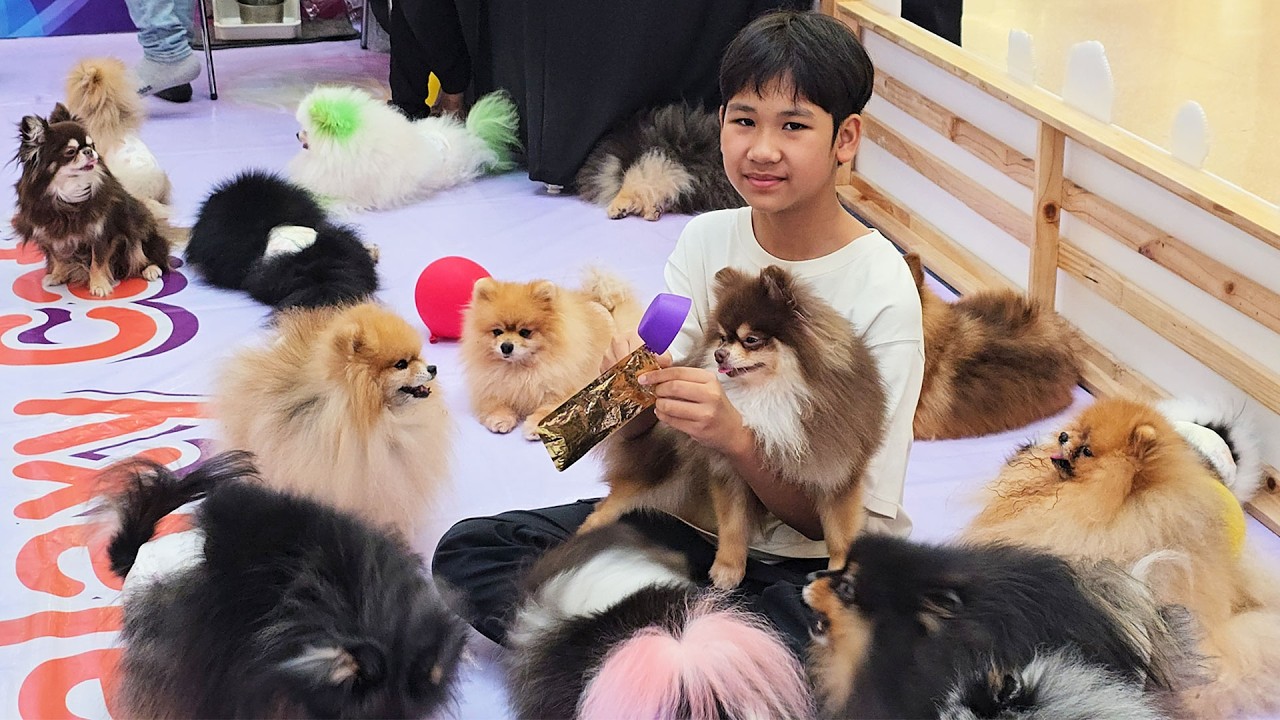 Beam Copphone – ซื้อรองเท้าวิ่ง นั่งรถไฟ เล่นกับน้องหมา เซ็นทรัลนครปฐม | น้องบีม Beam Copphone – ซื้อรองเท้าวิ่ง นั่งรถไฟ เล่นกับน้องหมา เซ็นทรัลนครปฐม | น้องบีม