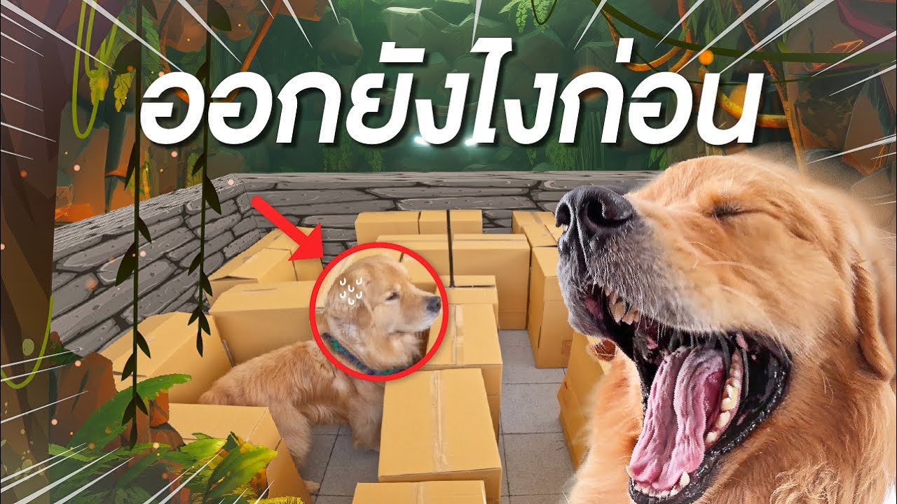 Japan and Friends – ถ้าจุ๊มเหม่งติดเขาวงกต จะหาทางออกยังไง | Japan and Friends Japan and Friends – ถ้าจุ๊มเหม่งติดเขาวงกต จะหาทางออกยังไง | Japan and Friends