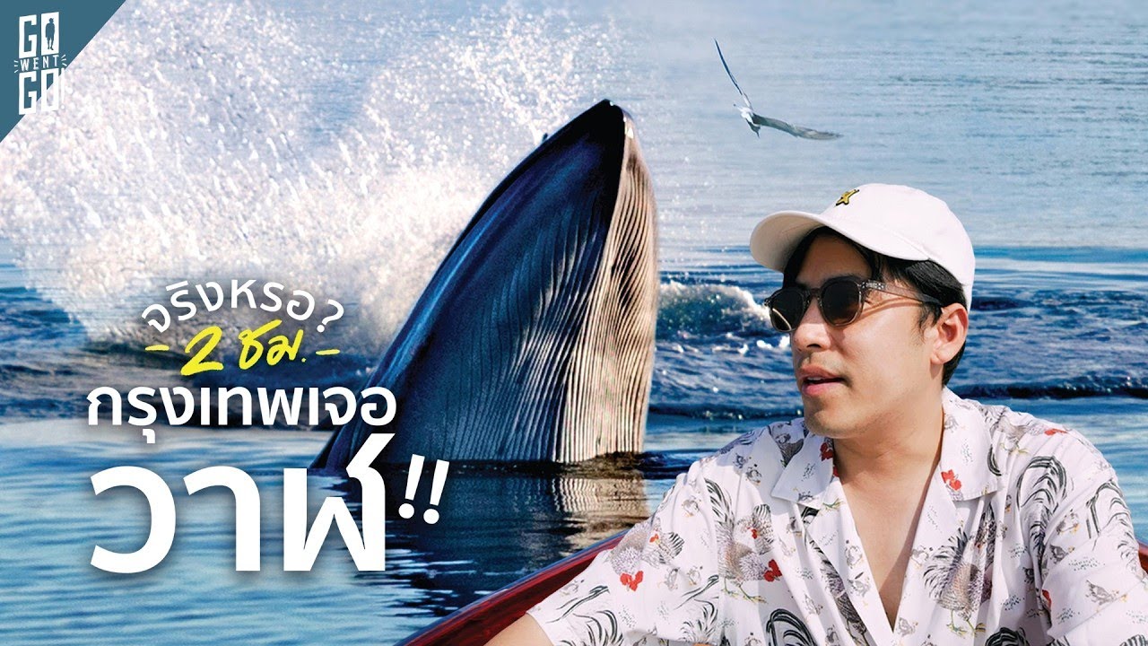 Go Went Go – เชื่อหรือไม่ ออกจากฝั่งแค่ 15 นาที เจอวาฬบรูด้า !! ตรงสมุทรสาครเลย Go Went Go – เชื่อหรือไม่ ออกจากฝั่งแค่ 15 นาที เจอวาฬบรูด้า !! ตรงสมุทรสาครเลย