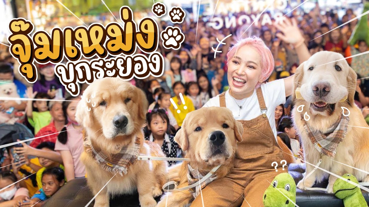 Japan and Friends – จุ๊มเหม่งบุกระยอง ลองเที่ยวแบบแรนดอม | Japan and Friends Japan and Friends – จุ๊มเหม่งบุกระยอง ลองเที่ยวแบบแรนดอม | Japan and Friends