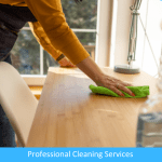 Professional Cleaning Services Professional Cleaning Services