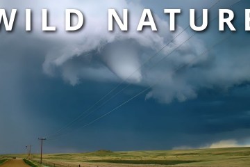 UNREAL NATURE | Natural phenomena that Don’t seem real UNREAL NATURE | Natural phenomena that Don’t seem real