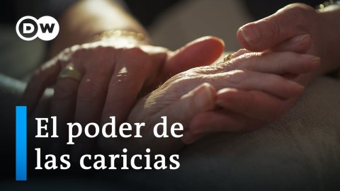 ¿Cómo afectan las caricias nuestra salud mental y física? | DW Documental ¿Cómo afectan las caricias nuestra salud mental y física? | DW Documental