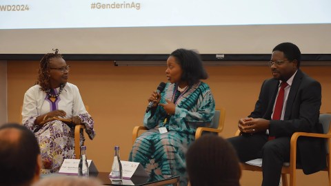 Illuminating Impactful Investments: A Celebration of International Women’s Day Illuminating Impactful Investments: A Celebration of International Women’s Day