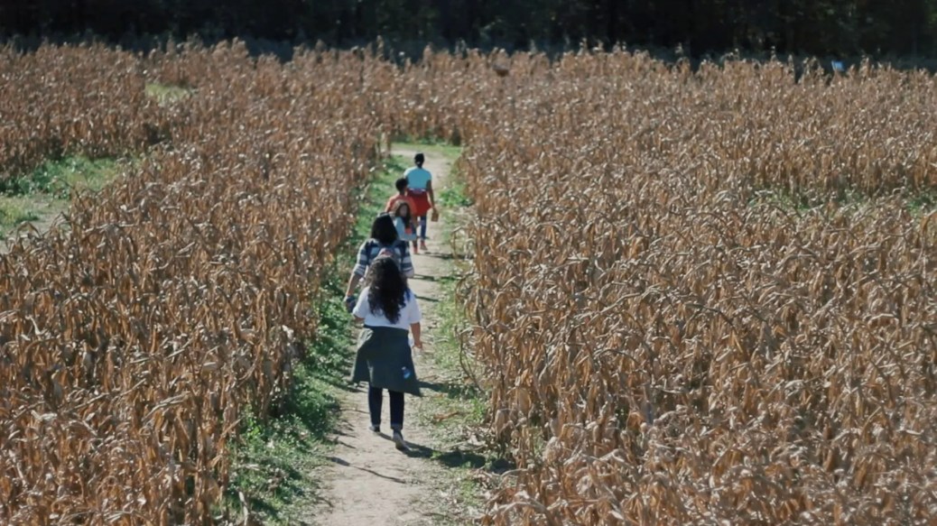 Reshaping The Landscape: Women Impacting Lee County Agriculture Reshaping The Landscape: Women Impacting Lee County Agriculture