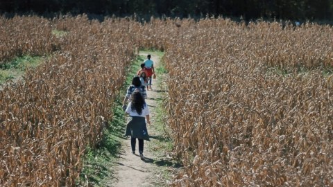 Reshaping The Landscape: Women Impacting Lee County Agriculture Reshaping The Landscape: Women Impacting Lee County Agriculture