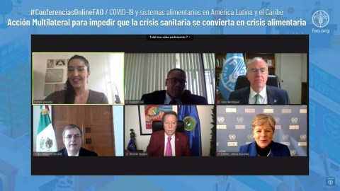 Acción Multilateral para impedir que la crisis sanitaria se convierta en crisis alimentaria Acción Multilateral para impedir que la crisis sanitaria se convierta en crisis alimentaria