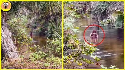 Cuando Capturaron A Esta Mujer En El Río Conmocionó Al Mundo Entero Cuando Capturaron A Esta Mujer En El Río Conmocionó Al Mundo Entero