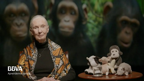 Versión Completa. Lecciones de vida de un espíritu indomable. Jane Goodall, primatóloga Versión Completa. Lecciones de vida de un espíritu indomable. Jane Goodall, primatóloga