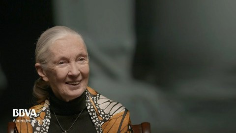 Mi mensaje a las niñas que quieren ser científicas. Jane Goodall, primatóloga Mi mensaje a las niñas que quieren ser científicas. Jane Goodall, primatóloga