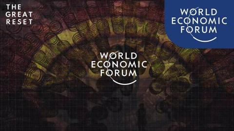 COVID-19: The Great Reset COVID-19: The Great Reset