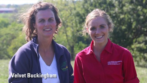 Photo Montage Women Impacting Agriculture 2017 Photo Montage Women Impacting Agriculture 2017