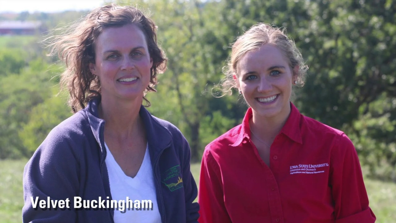 Photo Montage Women Impacting Agriculture 2017 Photo Montage Women Impacting Agriculture 2017