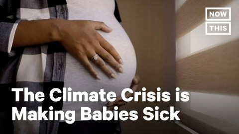 How the Climate Crisis is Impacting Babies in the U.S. | NowThis How the Climate Crisis is Impacting Babies in the U.S. | NowThis