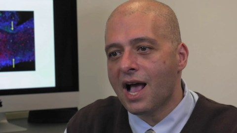 Impacting the World through Research Impacting the World through Research