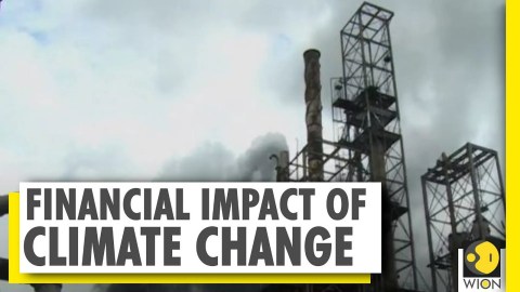 Financial impact of climate change | WION NEWS | World News Financial impact of climate change | WION NEWS | World News