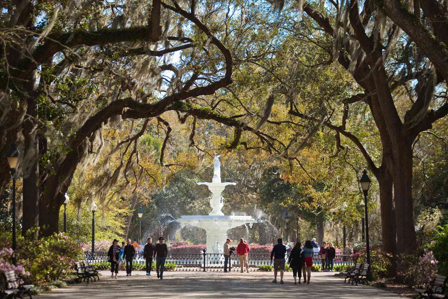 A Local Expert Shares What to Do in Savannah, Georgia — Where to Stay, Shop, and Eat A Local Expert Shares What to Do in Savannah, Georgia — Where to Stay, Shop, and Eat