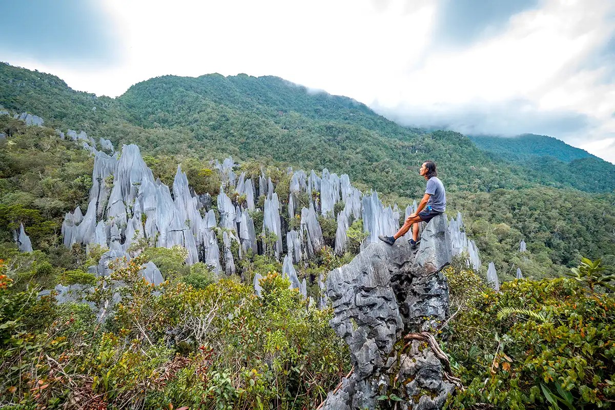 TTG – Sponsored features – Adventures, orangutans and cultural experiences: how to sell Sarawak TTG – Sponsored features – Adventures, orangutans and cultural experiences: how to sell Sarawak